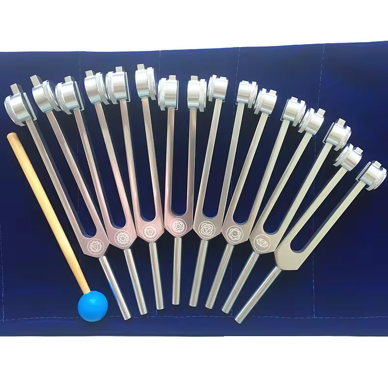 Medical Tuning Fork Set